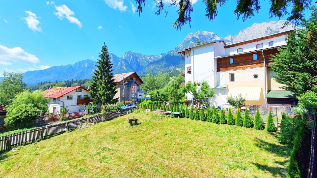 Casa Cu Brazi Hotel Buşteni Eksteriør billede
