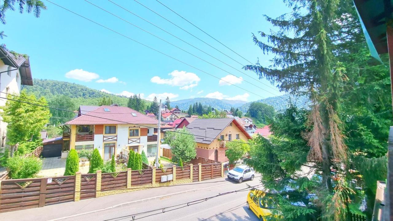 Casa Cu Brazi Hotel Buşteni Eksteriør billede